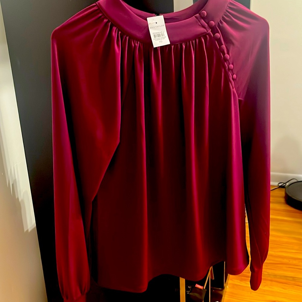 Long sleeve button detail Ann Taylor NWT top